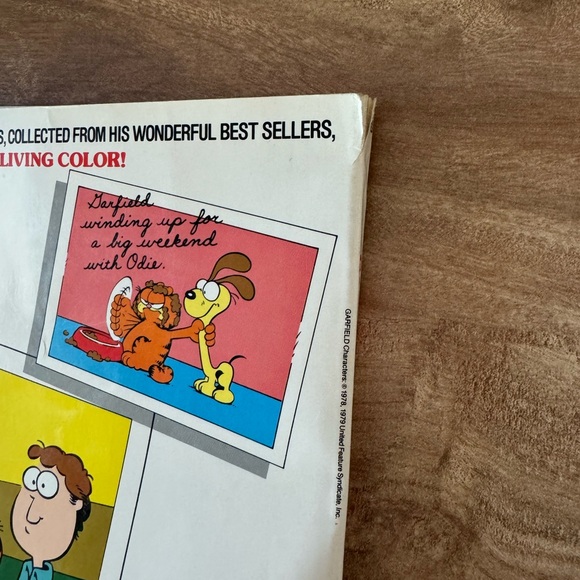 Garfield Series : Garfield Treasury by Jim Davis (1984, Trade Paperback) - Picture 4 of 8